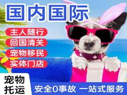 荷花机场托运国际宠物托运 【国
